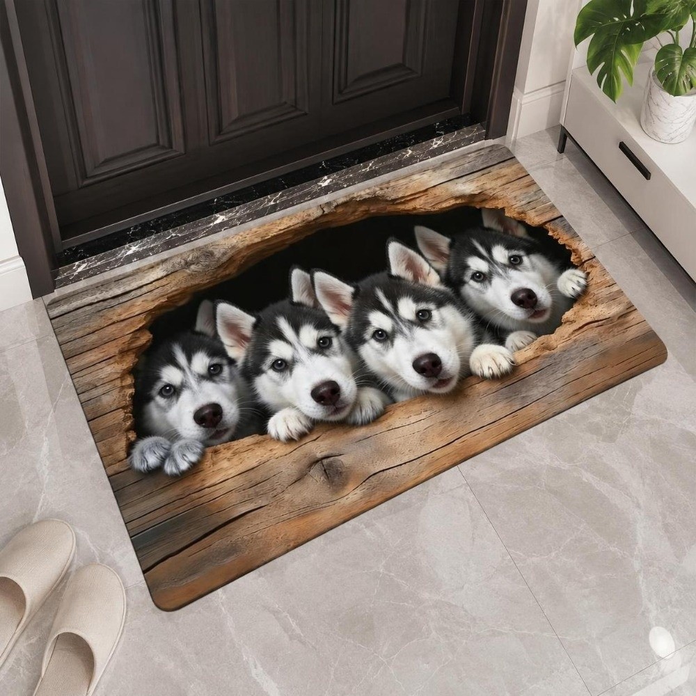 Alfombra de suelo duradera con - Quick Dry Diatomite Bath Mat reseña y precio